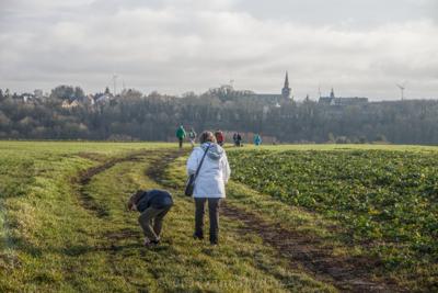 Photo de la journée