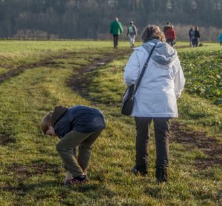 Photo de la journée