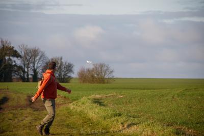 Photo de la journée